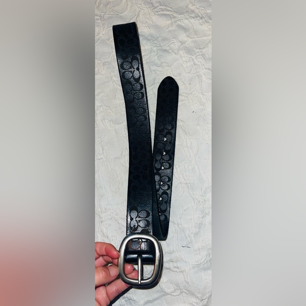 Coach belt